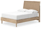 Cielden Full Panel Bed with Dresser