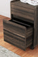 Zendex Home Office Desk and Storage